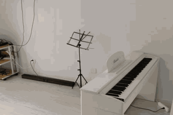 音为你艺术课堂